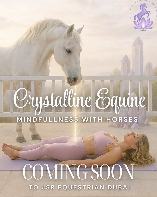 Ground-based horse connection and equine-assisted wellness technique in nature