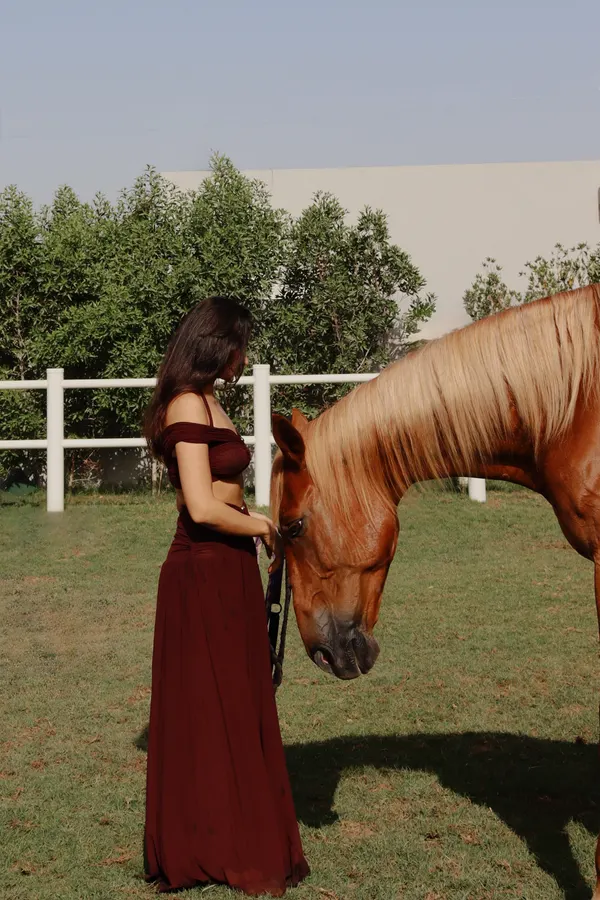 Portrait session at Crystalline Equine sanctuary