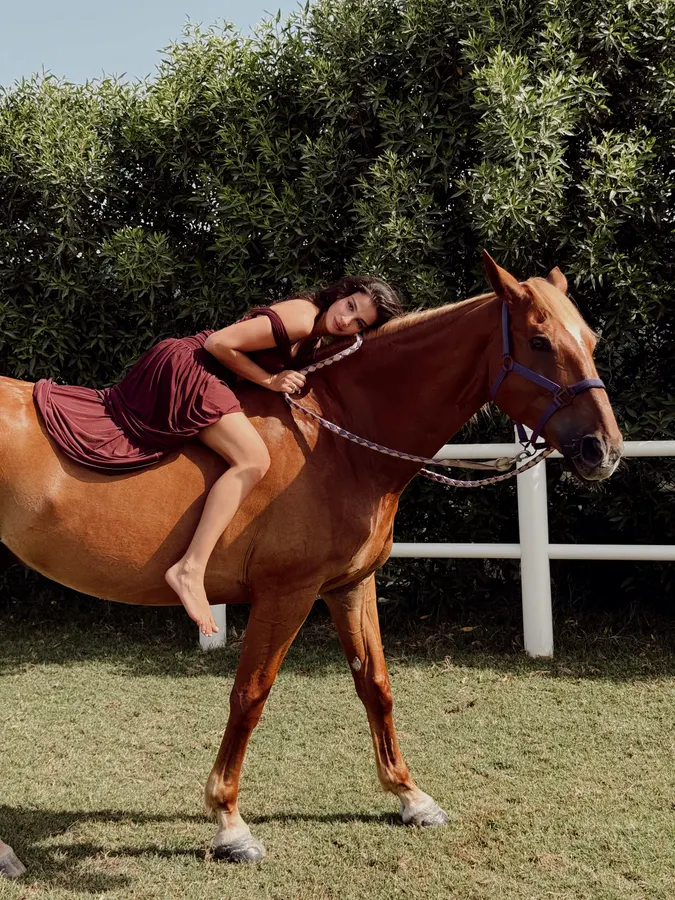 Personal portrait session with horses