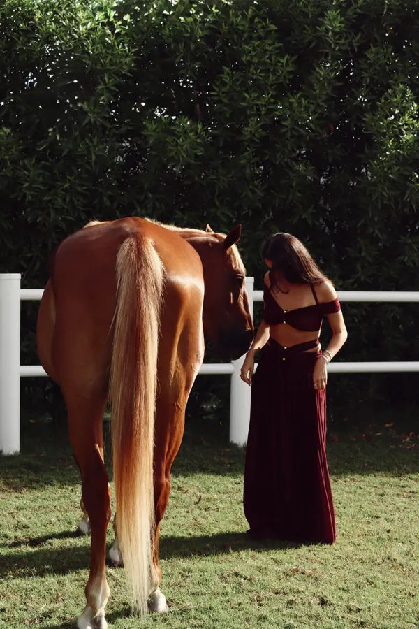 Storytelling photoshoot with horse Crystalline Equine