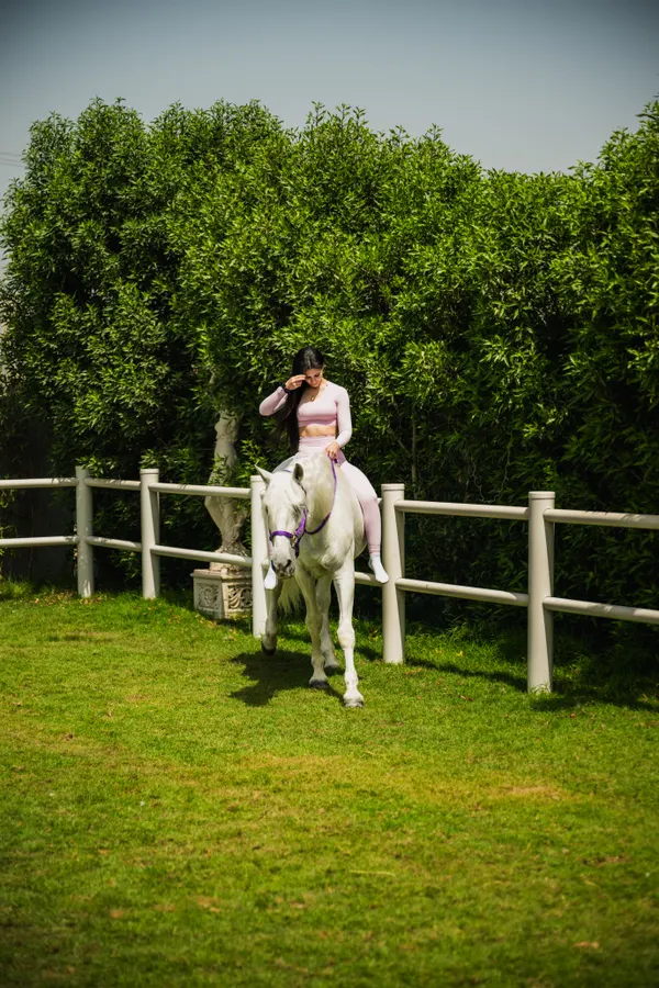 Wide paddock view of brand photoshoot at Crystalline Equine Dubai