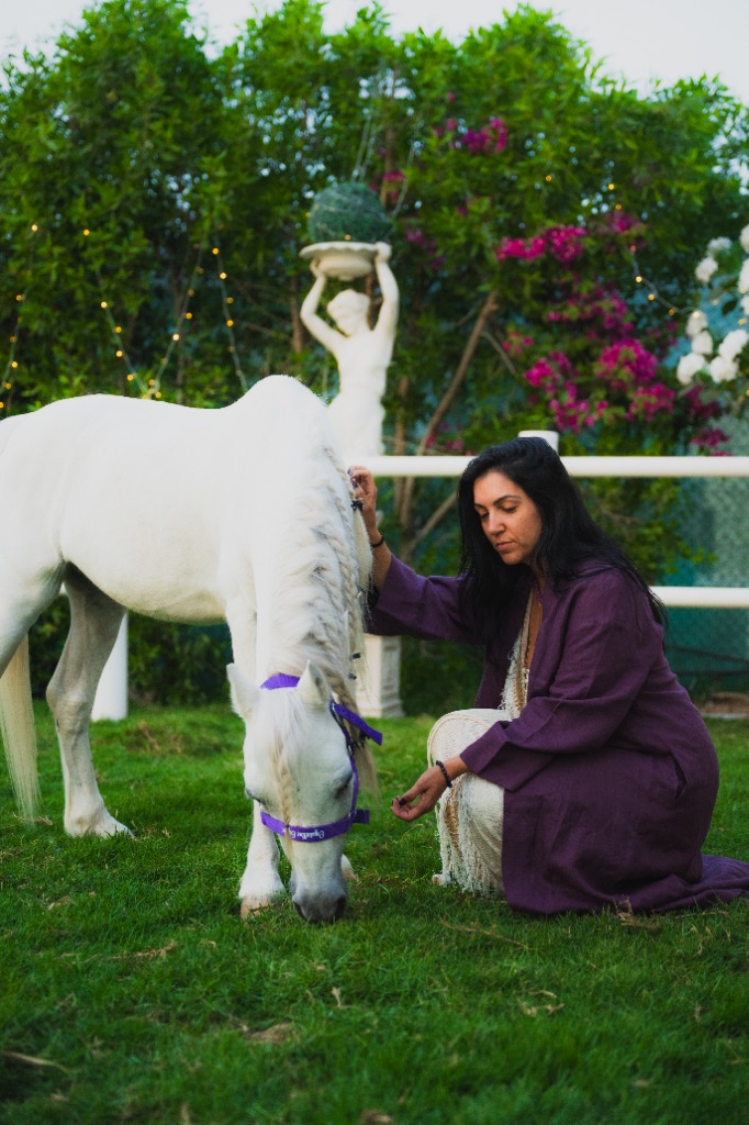 Horse Reiki energy healing session with Atoll at Crystalline Equine Dubai