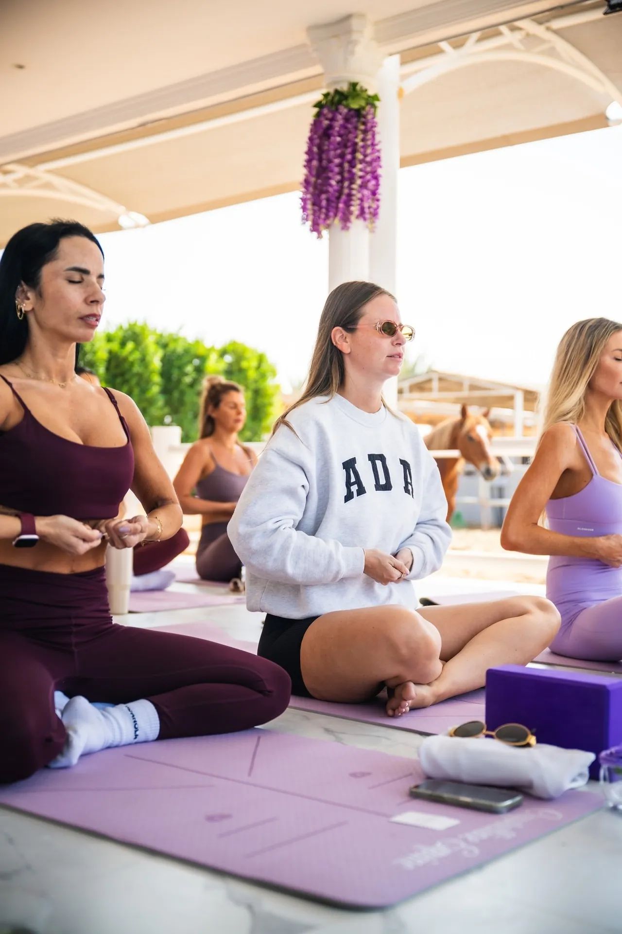 A group seated on mats during a mindful session on the terrace, with Atoll the chestnut horse watching from behind the fence at Crystalline Equine, Dubai